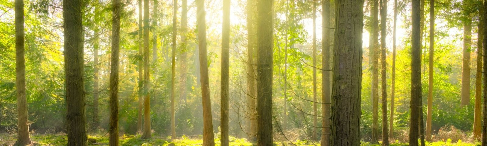 Projekt bez nazwy(133)